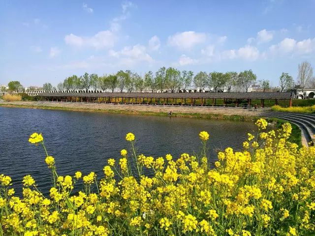 精品久久一区二区三区av 