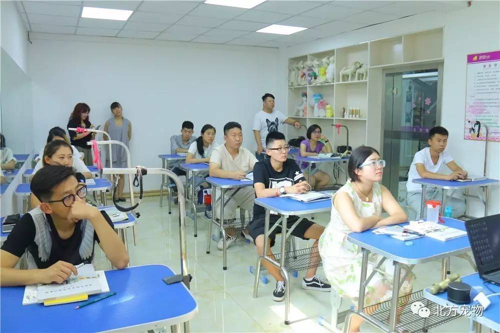 911黑料网吃瓜网 其内容更为边缘化和未经筛选