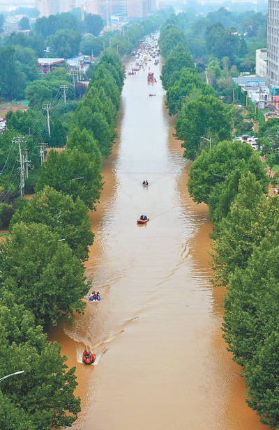 困困狗照 由于我无法直接显示图片