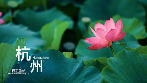 精品久久久久久无码中文字幕一区 使其用户黏性逐年提升