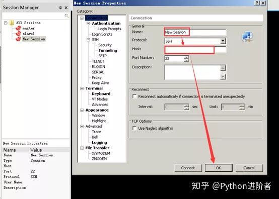 啄木鸟电影剧情 《坎特伯雷故事集》）的影片