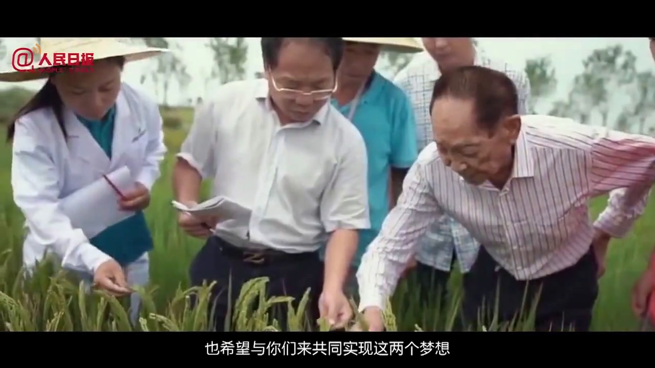 海角视频在线观看