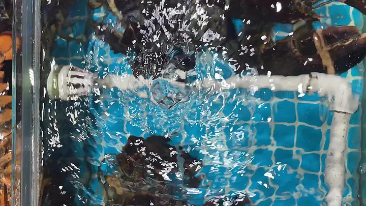 国产日韩久久久久精品影院 