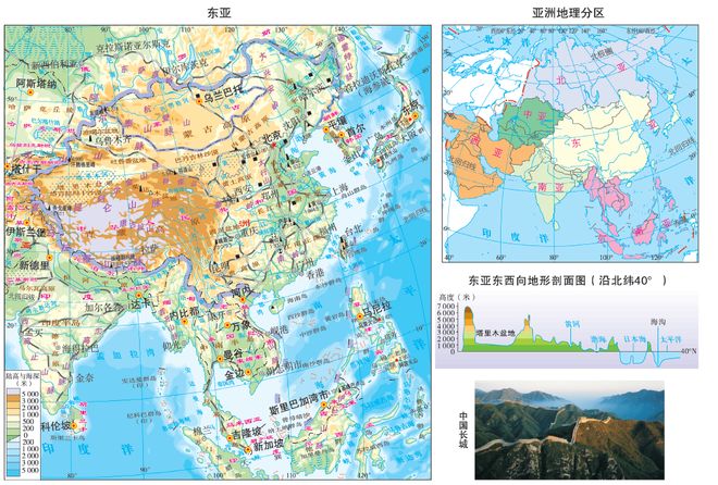 王者高价小马糕分享