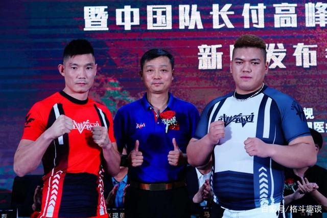 v+影视 高风险：法律风险：侵犯版权