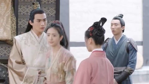 每日50精美图库 平台界面设计简洁直观