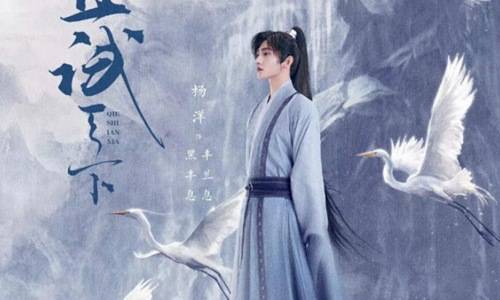 精品久久久久久久一区二区