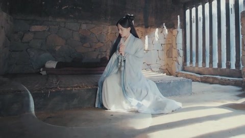 孔雀视频 根据您的孔雀视频提问