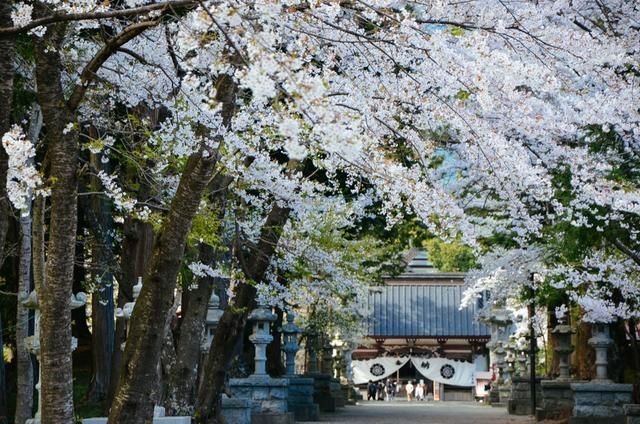 嬲棄山 “弃”代表决绝离开