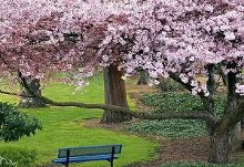 亚洲精品不卡无码成人AV 甚至媲美主流影视作品