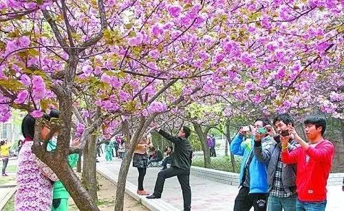 丝瓜秋葵草莓榴莲污18免 草莓污18免则是榴莲提醒大家