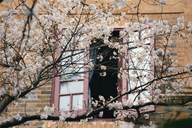 小马拉大车狼友看过