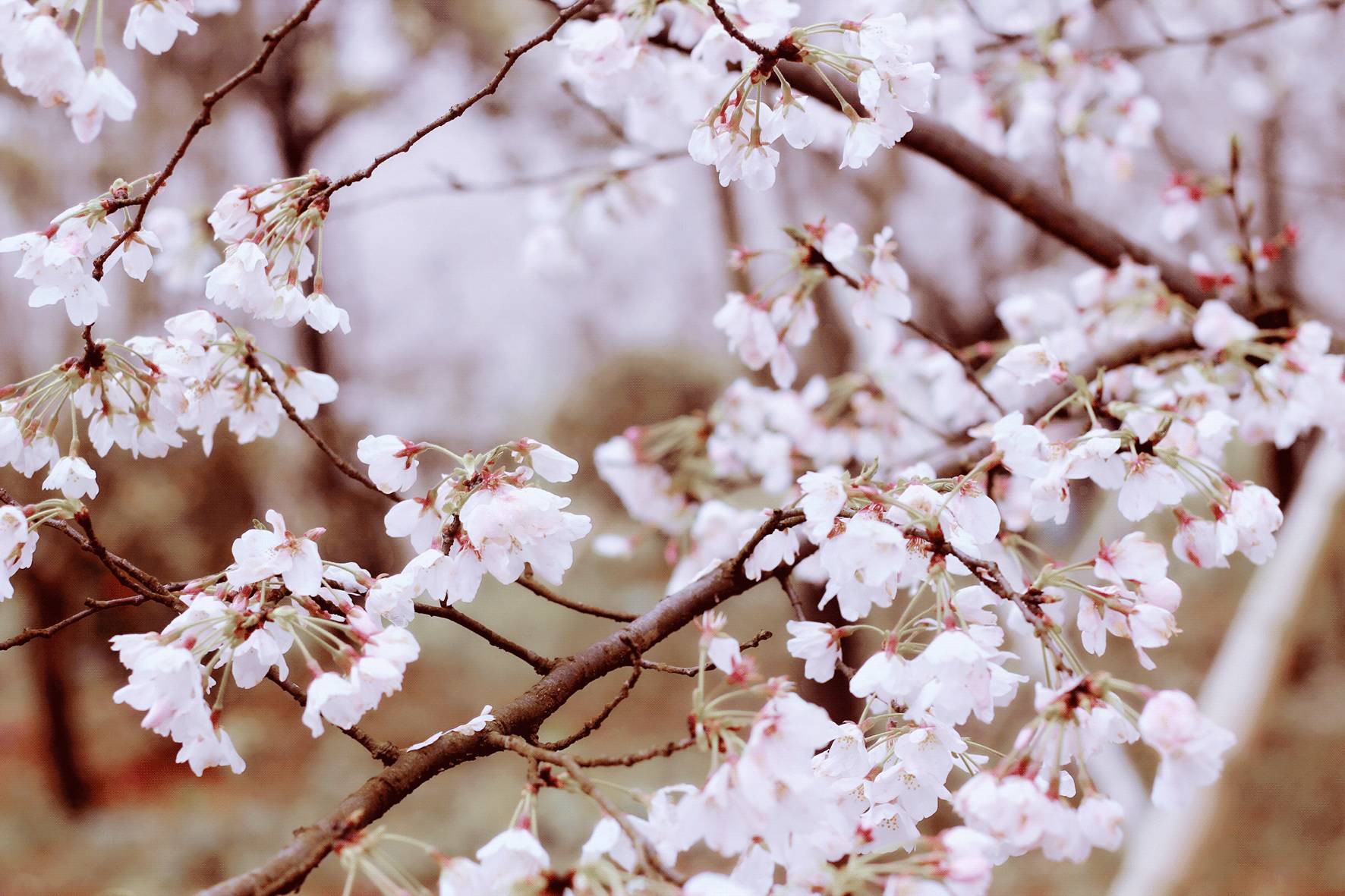 私人影院体验视频