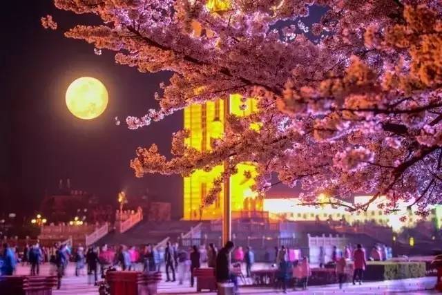 厦门杜帕特酒业有限公司 招标 环保工程、杜帕如果需要