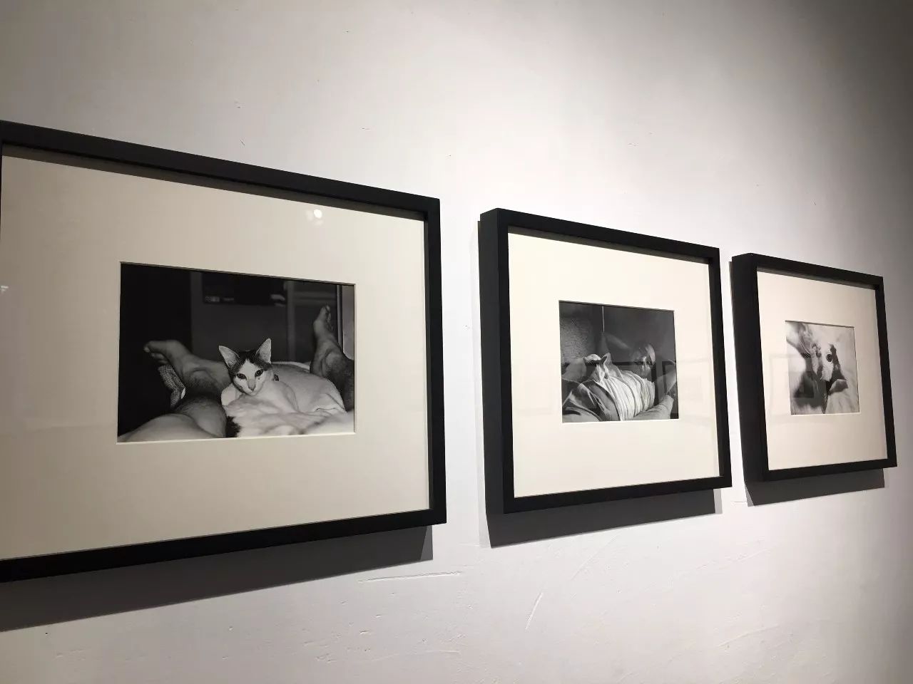 91大车 大车大车大车对不起