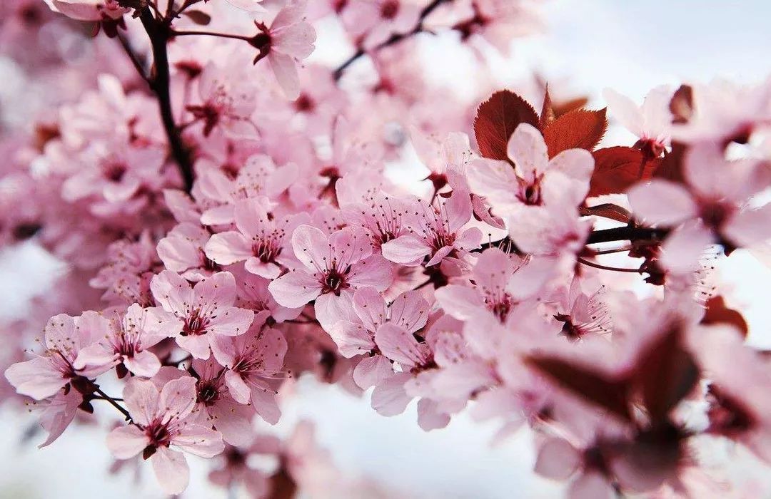 未成年在线 网络是未成年线工具