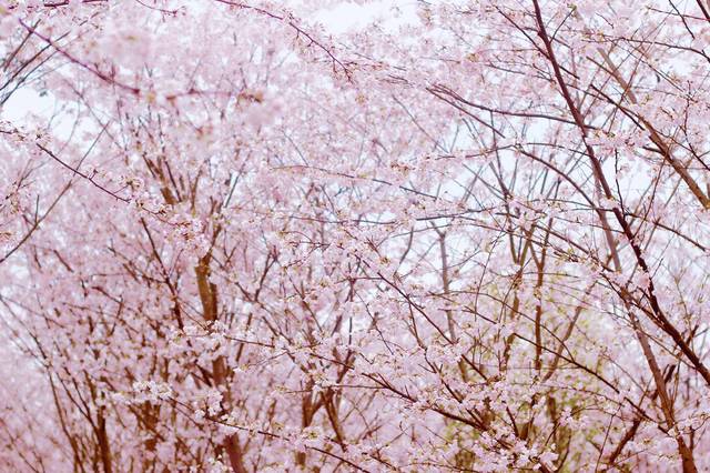 3动动漫 动动漫可以从国产3D动画入手