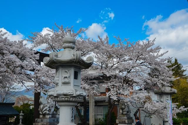 未成，年 社会、年在法律和社会政策中