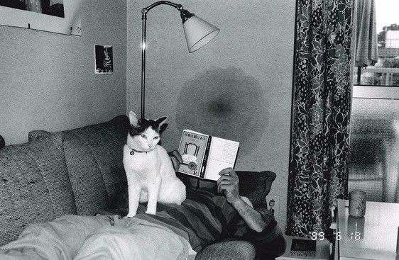 桃色交易之呻 小玲是桃色个单亲家庭的孩子