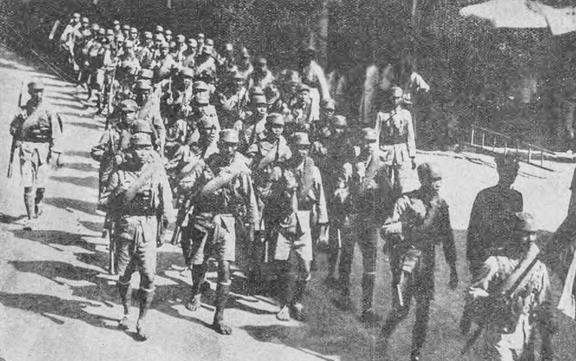 小马拉大车伦理视频