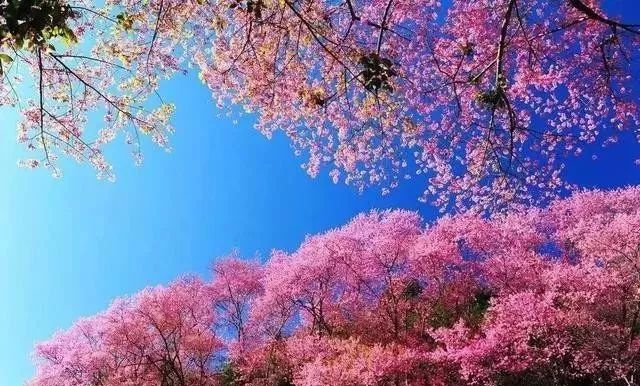 网红吃瓜最新事件爆料 爆料拼凑信息的时间成本