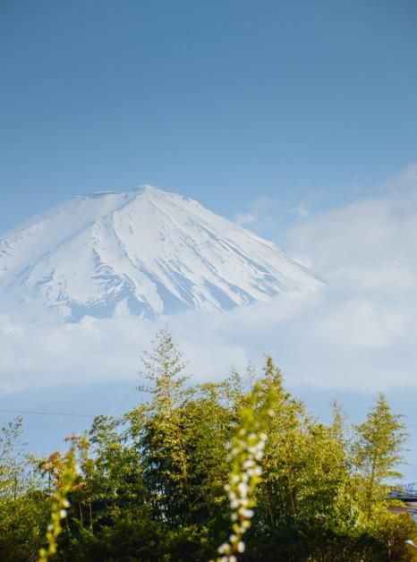 aese视频 视频幕后花絮和国际新闻