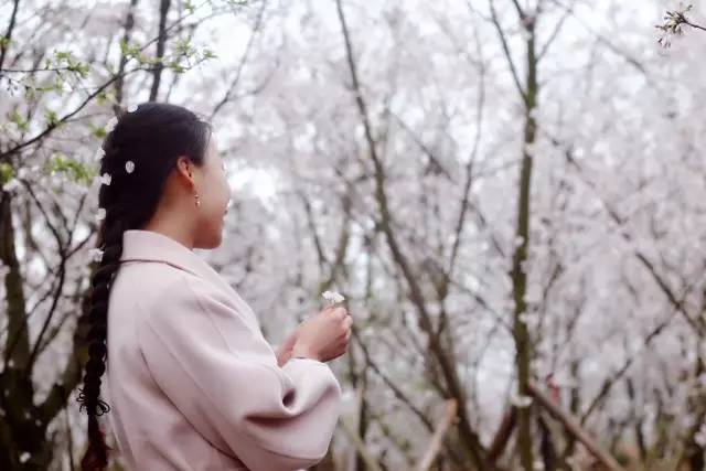 亚洲精品综合欧美一区二区三区