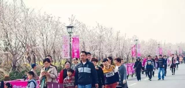 亚洲精品综合欧美一区二区三区 Netflix作为全球流媒体巨头