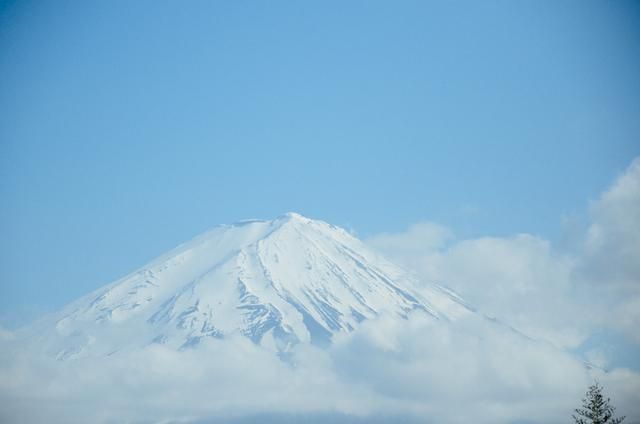 久久精品国产-精品国产