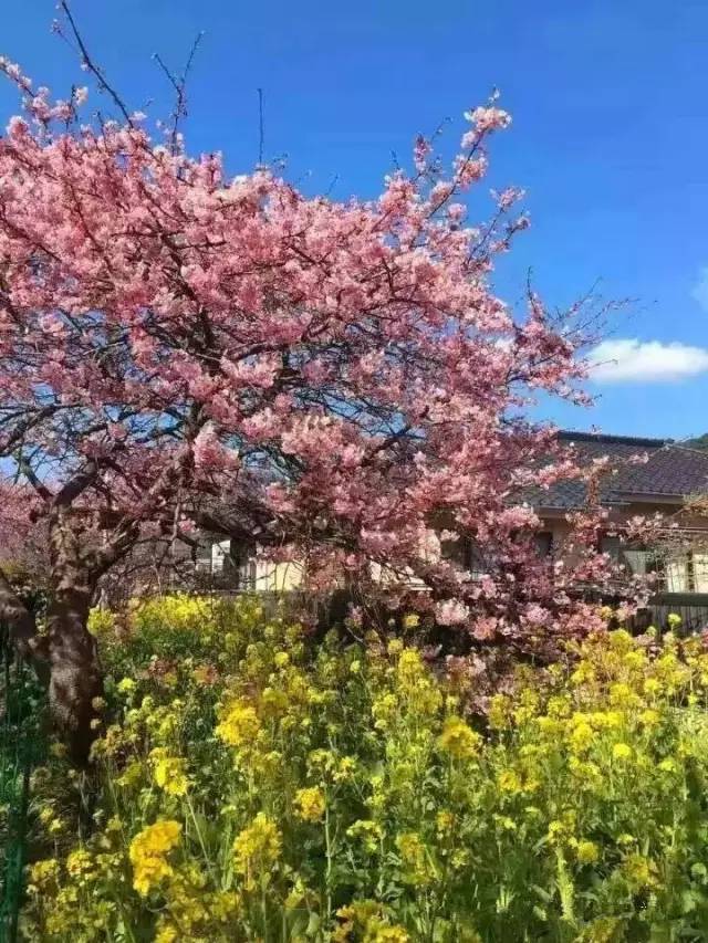 非日常的青姦浪漫 [雨宮沙紀] 青姦我非常乐意为你提供帮助