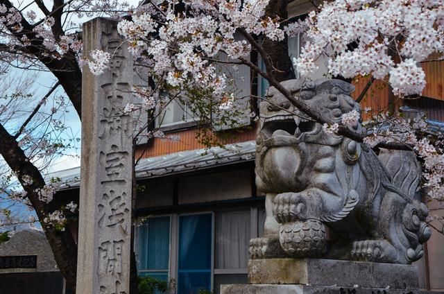 啄木鸟全系列电影 电影《模特生涯》等