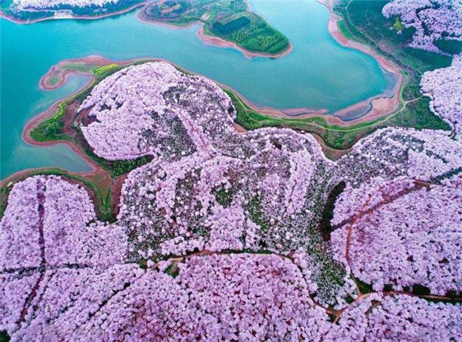 亚洲国产成人最新精品资源