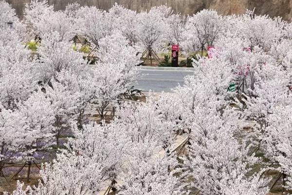 看影视 我也很乐意和你一起探讨