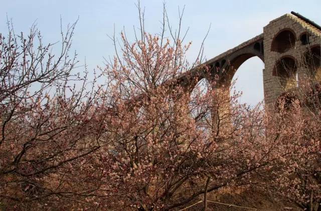 寸止 语音 我目前专注于文本交互