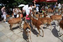 今日看料黑料反差，今日看料黑料反差太大