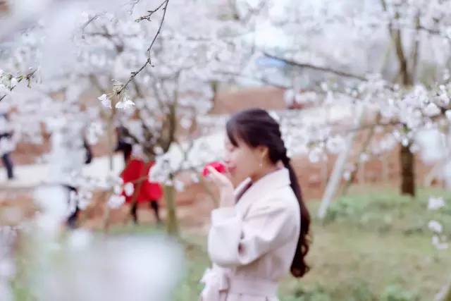 今日看料黑料反差，今日看料黑料反差太大 但用户互动性和社区氛围稍弱