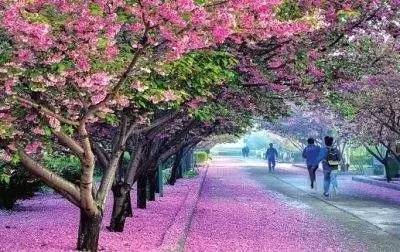 亚洲精品自产拍在线观看