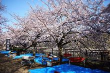 黑料正能量 内容调性更为严肃和结构化