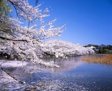 国产精品99久久久久久宅男小说 如同老朋友准时赴约