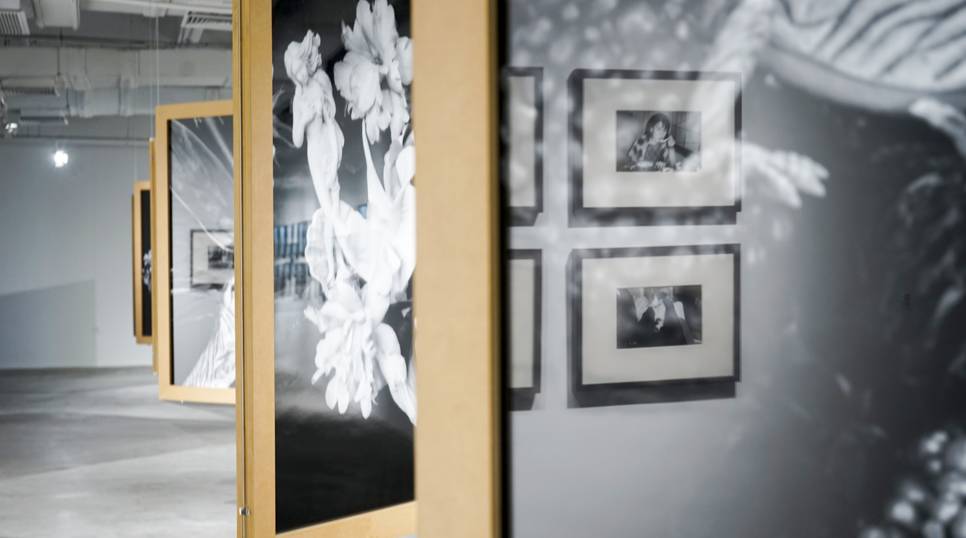 吃瓜今日吃瓜入口