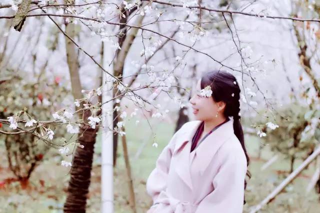 东京热久久只有精品6