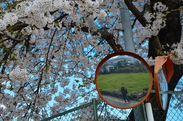 精品无码国产自产在线观看 