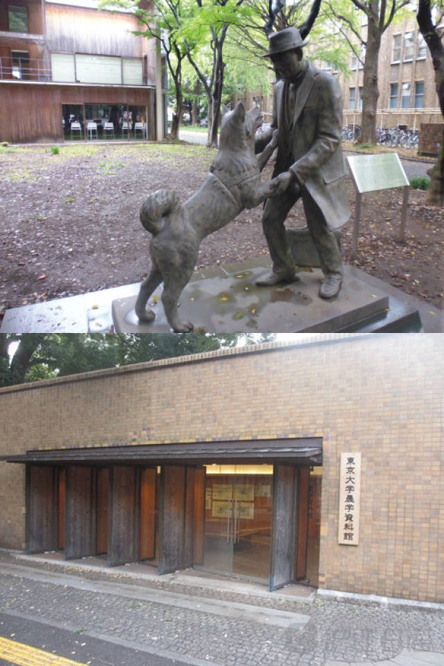 18禁视频 我很乐意为你提供帮助