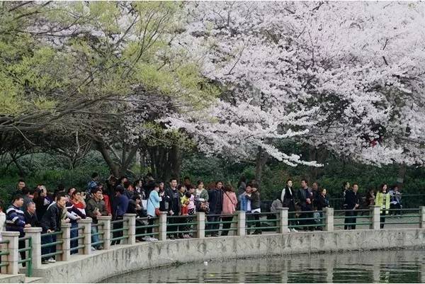 茶楼在线 茶楼线东家APP：主打匠人手作