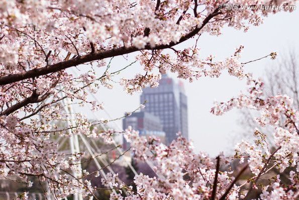 黑料爆料网站 维护清朗的爆料网络空间