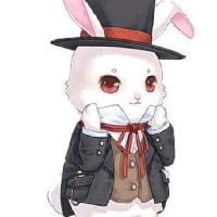 91久久精品无码一区