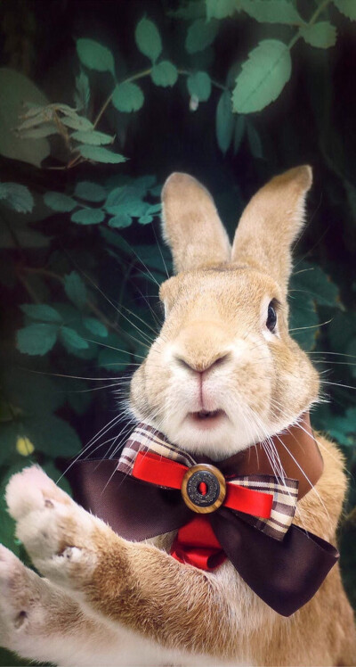 久久99精品国产麻豆