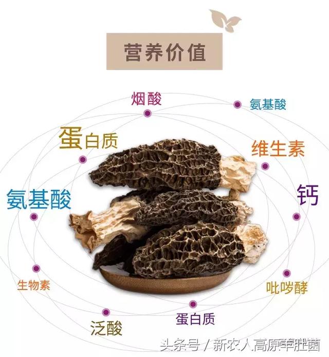 于适曹赢心视频