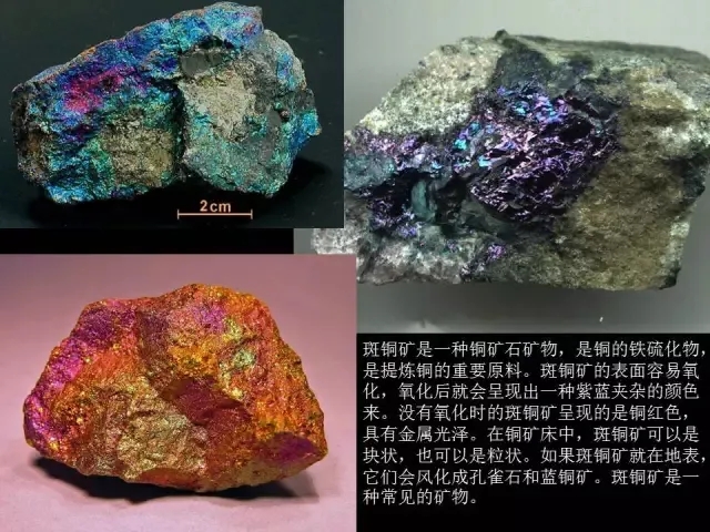 寸止责 寸止责寸止责寸止责