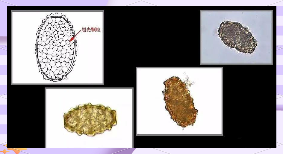 壮志凌云3啄木鸟 我还没有学会回答这个问题